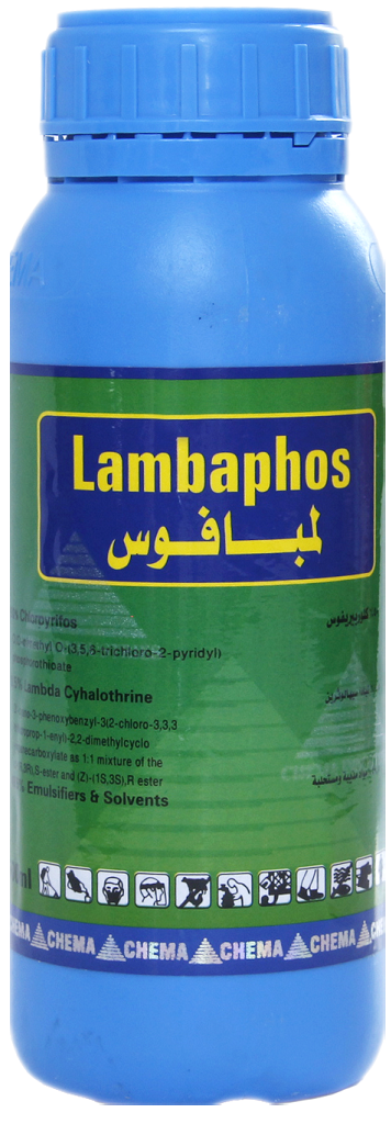 lambaphos